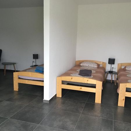 Monteurwohnung 2 Ingelheim am Rhein Zewnętrze zdjęcie